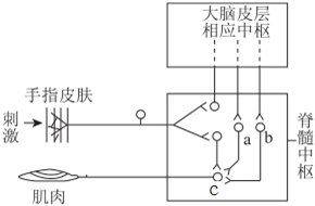 菁優(yōu)網(wǎng)