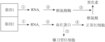 菁優(yōu)網