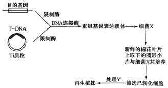 菁優(yōu)網