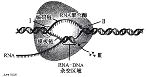 菁優(yōu)網