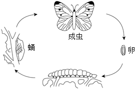 菁優(yōu)網(wǎng)