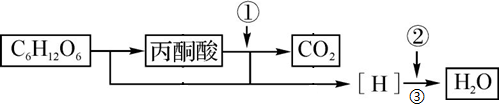 菁優(yōu)網