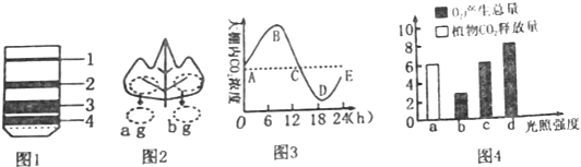 菁優(yōu)網