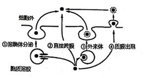 菁優(yōu)網(wǎng)