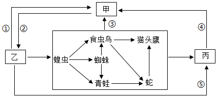 菁優(yōu)網(wǎng)