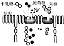 菁優(yōu)網