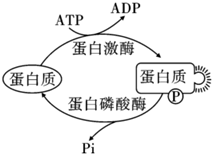 菁優(yōu)網