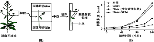 菁優(yōu)網