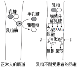 菁優(yōu)網