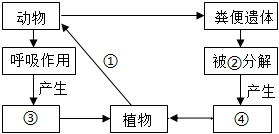 菁優(yōu)網(wǎng)