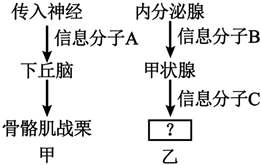 菁優(yōu)網(wǎng)