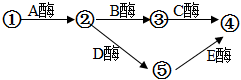 菁優(yōu)網(wǎng)