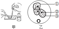 菁優(yōu)網(wǎng)