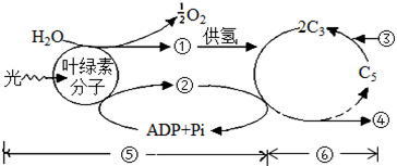 菁優(yōu)網(wǎng)