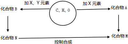 菁優(yōu)網(wǎng)