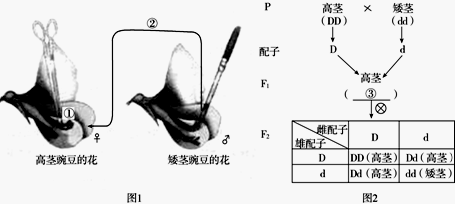 菁優(yōu)網