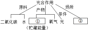 菁優(yōu)網(wǎng)