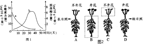 菁優(yōu)網