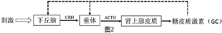 菁優(yōu)網