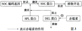 菁優(yōu)網