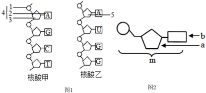 菁優(yōu)網