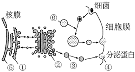 菁優(yōu)網