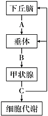 菁優(yōu)網