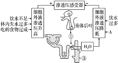 菁優(yōu)網