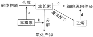 菁優(yōu)網(wǎng)