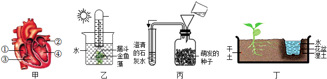 菁優(yōu)網(wǎng)