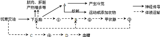 菁優(yōu)網(wǎng)