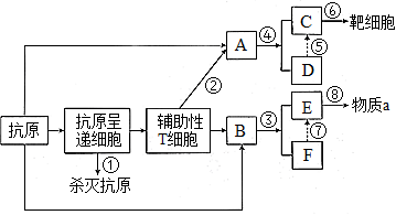 菁優(yōu)網(wǎng)