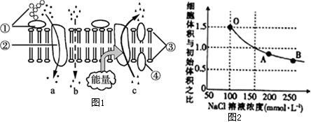 菁優(yōu)網(wǎng)