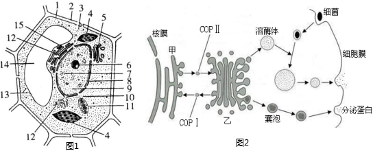 菁優(yōu)網(wǎng)