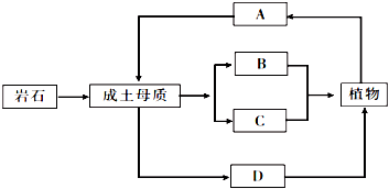 菁優(yōu)網(wǎng)