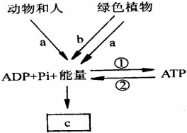 菁優(yōu)網(wǎng)