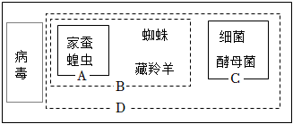 菁優(yōu)網