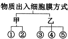 菁優(yōu)網(wǎng)