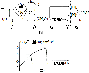 菁優(yōu)網(wǎng)