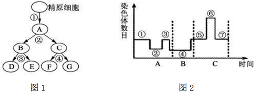 菁優(yōu)網