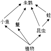 菁優(yōu)網(wǎng)