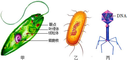 菁優(yōu)網(wǎng)