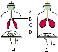 菁優(yōu)網(wǎng)