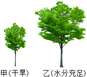 菁優(yōu)網