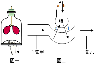 菁優(yōu)網(wǎng)