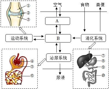 菁優(yōu)網(wǎng)