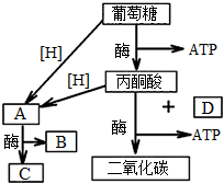 菁優(yōu)網(wǎng)