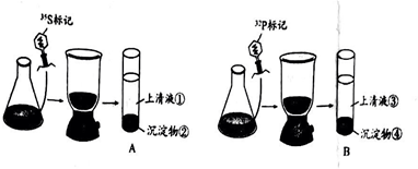 菁優(yōu)網