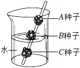 菁優(yōu)網(wǎng)