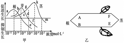 菁優(yōu)網(wǎng)